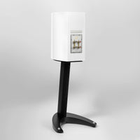 Triangle - Duetto 40th Anniversary - Bookshelf Speaker in White, rear terminals Australia
