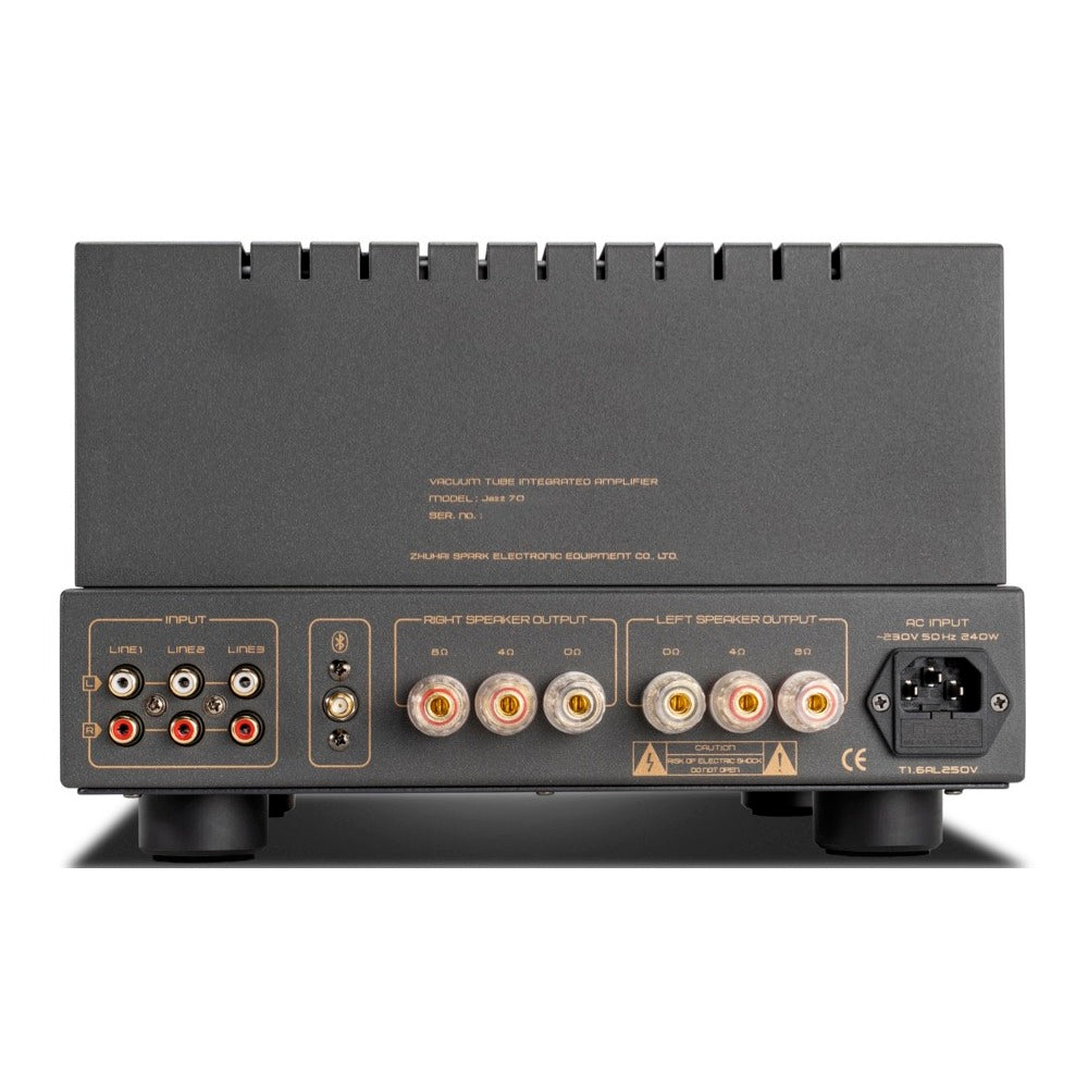Cayin Jazz 70 rear panel with three line inputs, Bluetooth antenna and 4/8 ohm speaker terminals