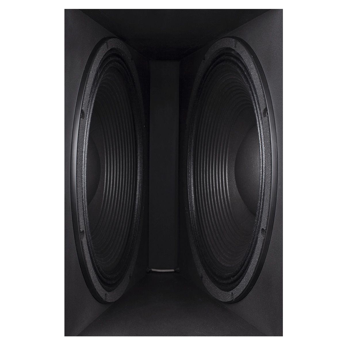 Procella Audio - V21 - Subwoofer