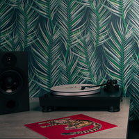 Audio Technica - AT-LP5X - Fully Manual Direct-Drive Turntable Australia on a sideboard beside a bookshelf speaker