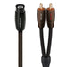 AudioQuest Big Sur 5-pin DIN and RCA interconnect cable