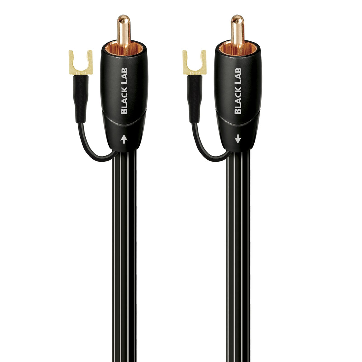 AudioQuest - Black Lab - Subwoofer Cable Australia