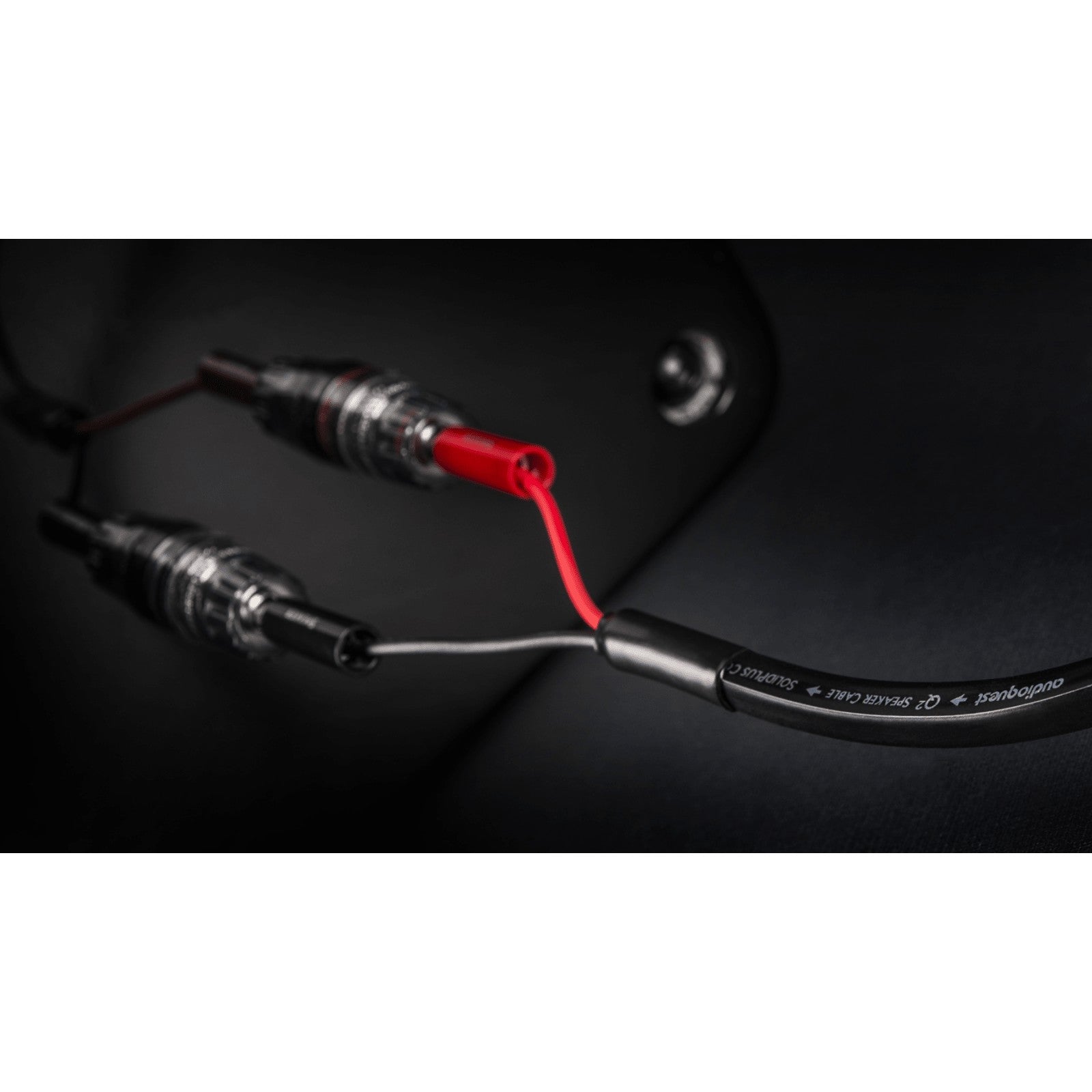 AudioQuest - Q2 - Speaker Cable (Pair) Australia