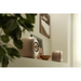 KEF - LS LUXE - Bookshelf Speaker Australia