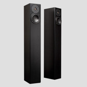 Totem Acoustic - Arro - Floor standing Speakers Australia