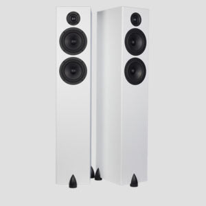 Totem Acoustic - BISON Twin Tower - Floorstanding Speakers Australia
