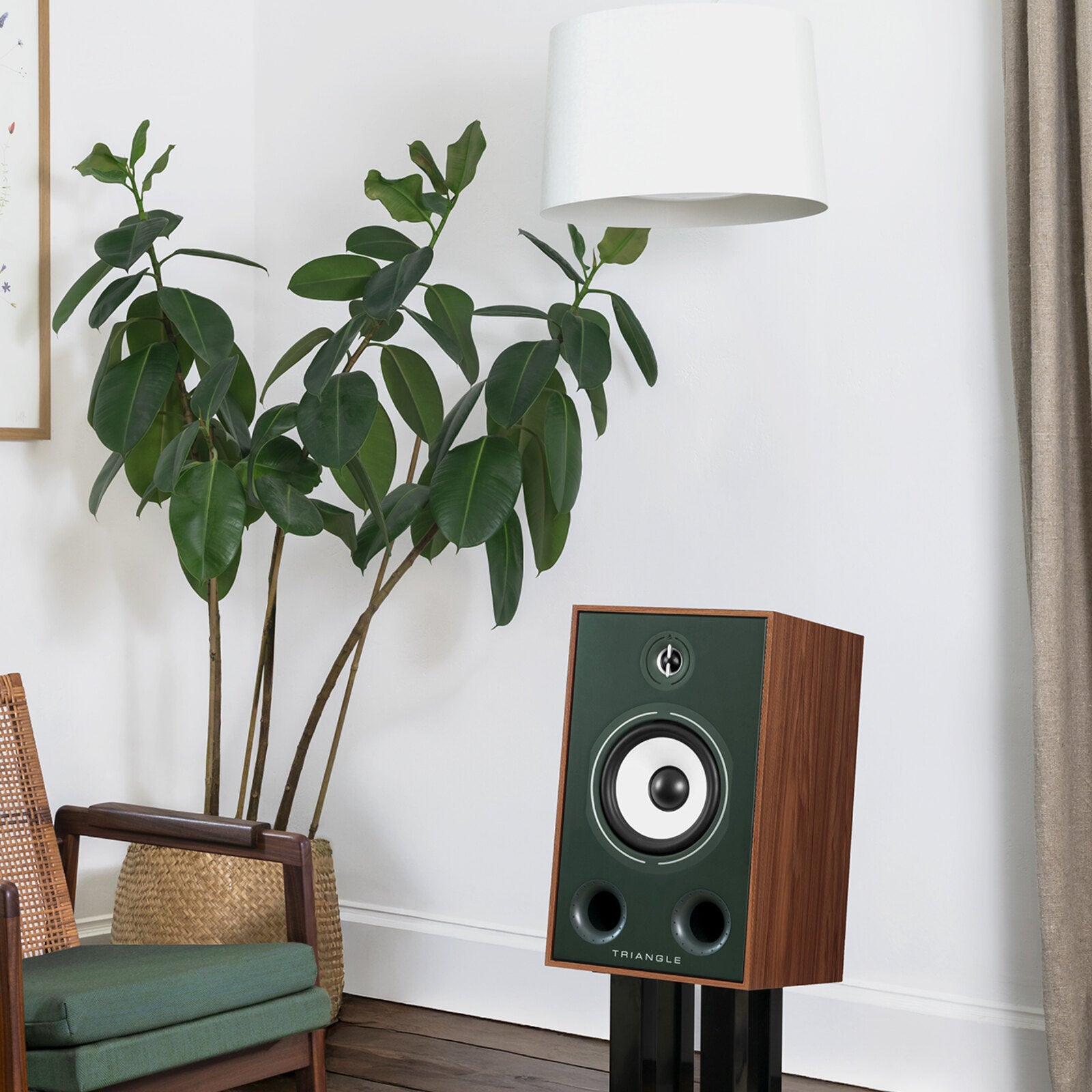 Triangle - BR05 - Bookshelf Speakers Australia Green finish on a stand in a living room