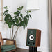 Triangle - BR05 - Bookshelf Speakers Australia Green finish on a stand in a living room