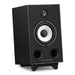 Triangle - BR05 - Bookshelf Speakers Australia Black Ash finish, angled front view