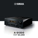 Yamaha - AS1200 - Integrated Amplifier Australia