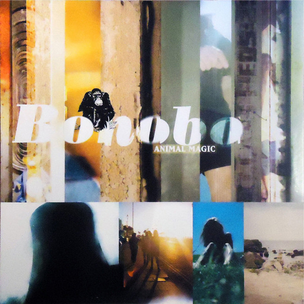Bonobo - Animal Magic Australia