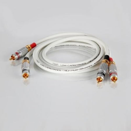 Rega - Couple 2 - Interconnect Australia