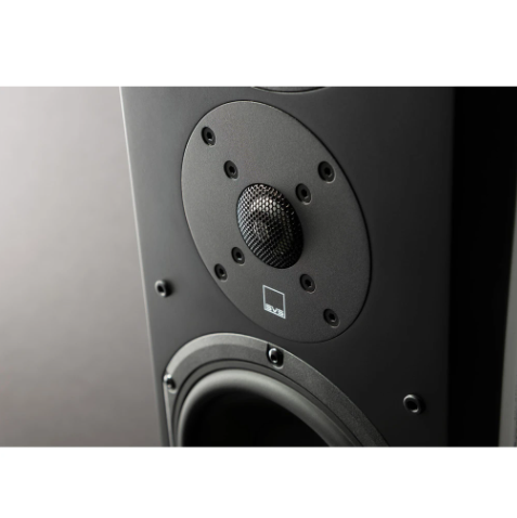 SVS Prime Pinnacle Floor Standing Speakers Voted #1 NSW HiFi