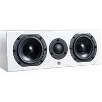 Totem Acoustic - Kin Flex - On-Wall Speaker Australia